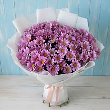 Букет цветов из:  Хризантемы #REPLACE_PRED# Хрипань